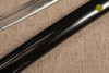 SD1053 - Shirasaya Katana / Black Finish