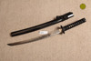 SD1101 - Black Dragon III WakizashI