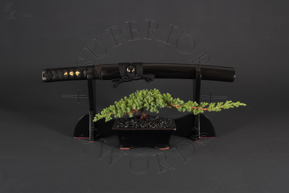 Black Dragon III O'Tanto - Seconds Grade