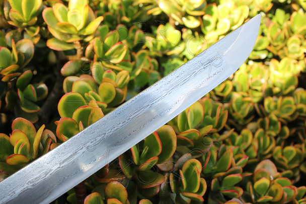 Tomoe, V, -, Damascus, Katana,