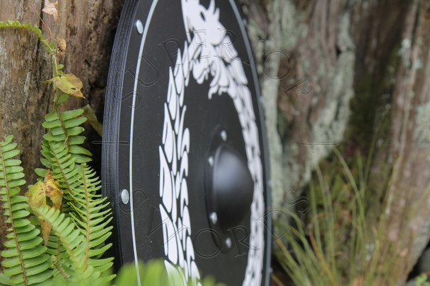 Viking, Shield,