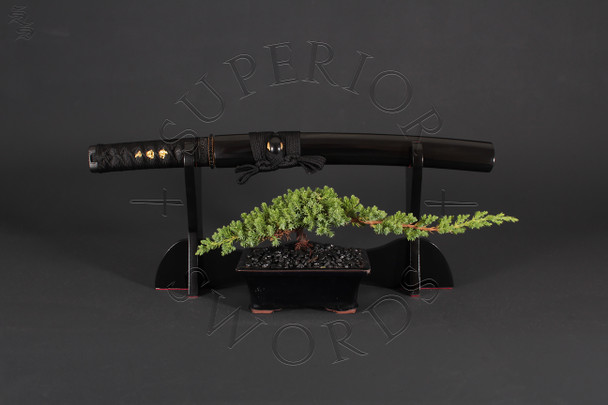 Black Dragon III O'Tanto - Seconds Grade