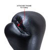 Pro Leather Training Boxing Gloves