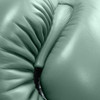 Revgear Thai Original Boxing Gloves - Classic Collection Army Green