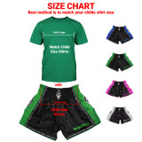 revgear Youth Combat Series Thai Shorts 