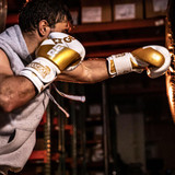 Revgear Pinnacle Boxing Gloves in gold and black, showcasing the glove's slimline design and wrist closure Gold/Black