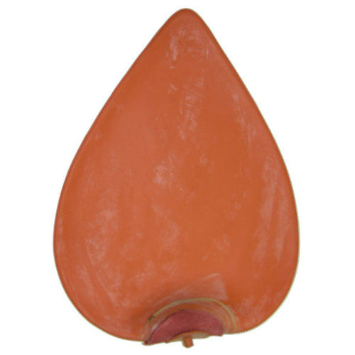 Revgear Speed Bag Bladder - Replacement insert for boxing and MMA speed bags