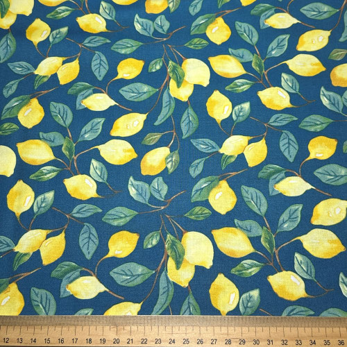 Studio E Squeeze the Day - 100% cotton fabric - Scale