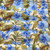 Rose and Hubble Tropical Blue Hibiscus/ Florals - 100% Cotton Poplin - Draped