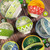 Small Irish Claddagh Bowl All Bowls Keilys.com