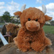 Highland Cow Small Soft Toy online on Keilys.com