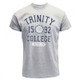 TCD088HG Trinity College Trinity Crest T-Shirt Grey Front view Keilys.com