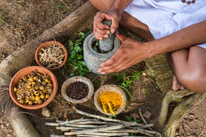 Ayurvedic Herbs