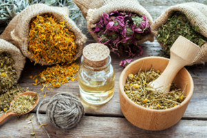 Herbs & Botanicals
