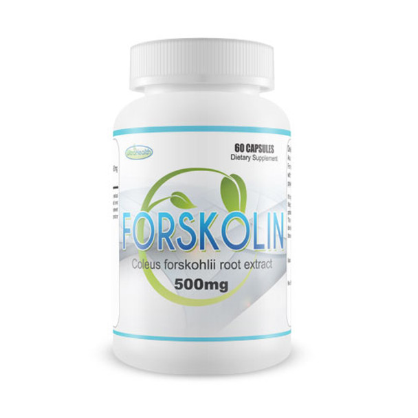 Forskolin - 60 Capsules