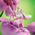 Orchid Mantis Puppet