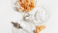 Unlocking the Secrets of Sea Moss Gel