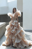 Feather Shoulder Gown
