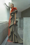 Ruffled Feathered Sleeve Gown