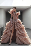 Long Sleeved Ruffled Gown
