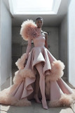 Feathered Sleeved Gown