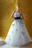 Lavinia Strapless Pleated Tulle Ball Gown