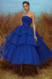 Strapless Tulle Dress