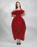 Feather Neck Dress