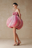 Ruffled Mini Dress