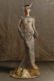 Embellished Gown with Long Sleeves