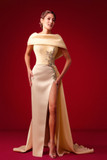 Shoulder Draped Embroidered Gown