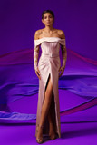 Embroidered Off Shoulder Corseted Bodice Gown