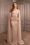 Draped Sleeves Gown