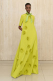 Rembrandt Rose Gown