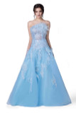 Embellished Feathered A-Line Gown