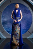 Sleeveless Crepe Embroidered Gown