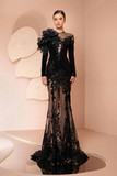 Dentelle Lace Gown