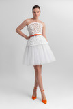 Strapless Corset and Tulle Skirt