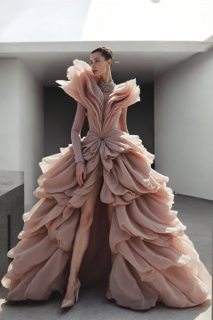 Long Sleeved Ruffled Gown Long Sleeved Ruffled Gown