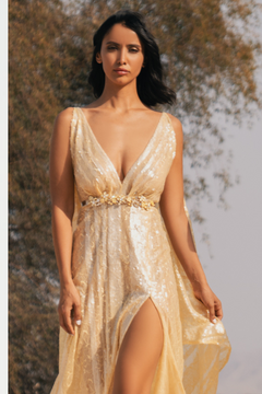 V-Neck Lace  Gown