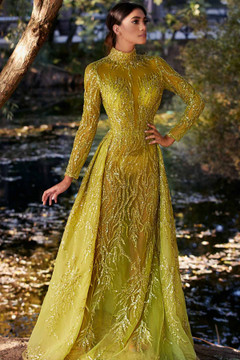 High Neck Sleeved Gown High Neck Sleeved Gown