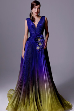 Accordion Applique Gown Accordion Applique Gown