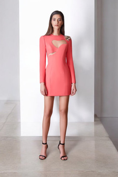 Long Sleeved /Mini Dress