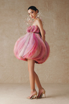 Ruffled Mini Dress
