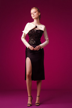 Embroidered Corset and Cady Slit Skirt Embroidered Corset and Cady Slit Skirt