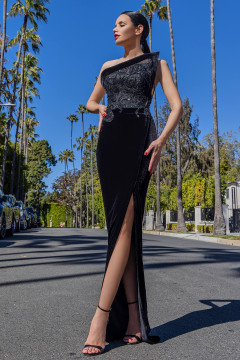 Tattoo Lace Velvet Gown