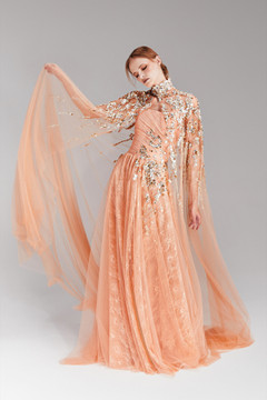 Shimmer Embellished Gown Shimmer Embellished Gown