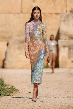 Long Sleeve Beaded Dress Long Sleeve Beaded Dress