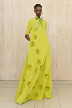 Rembrandt Rose Gown