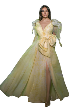 Sleeveless Printed Organza Gown Sleeveless Printed Organza Gown